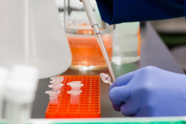 能力验证与实验室间比照